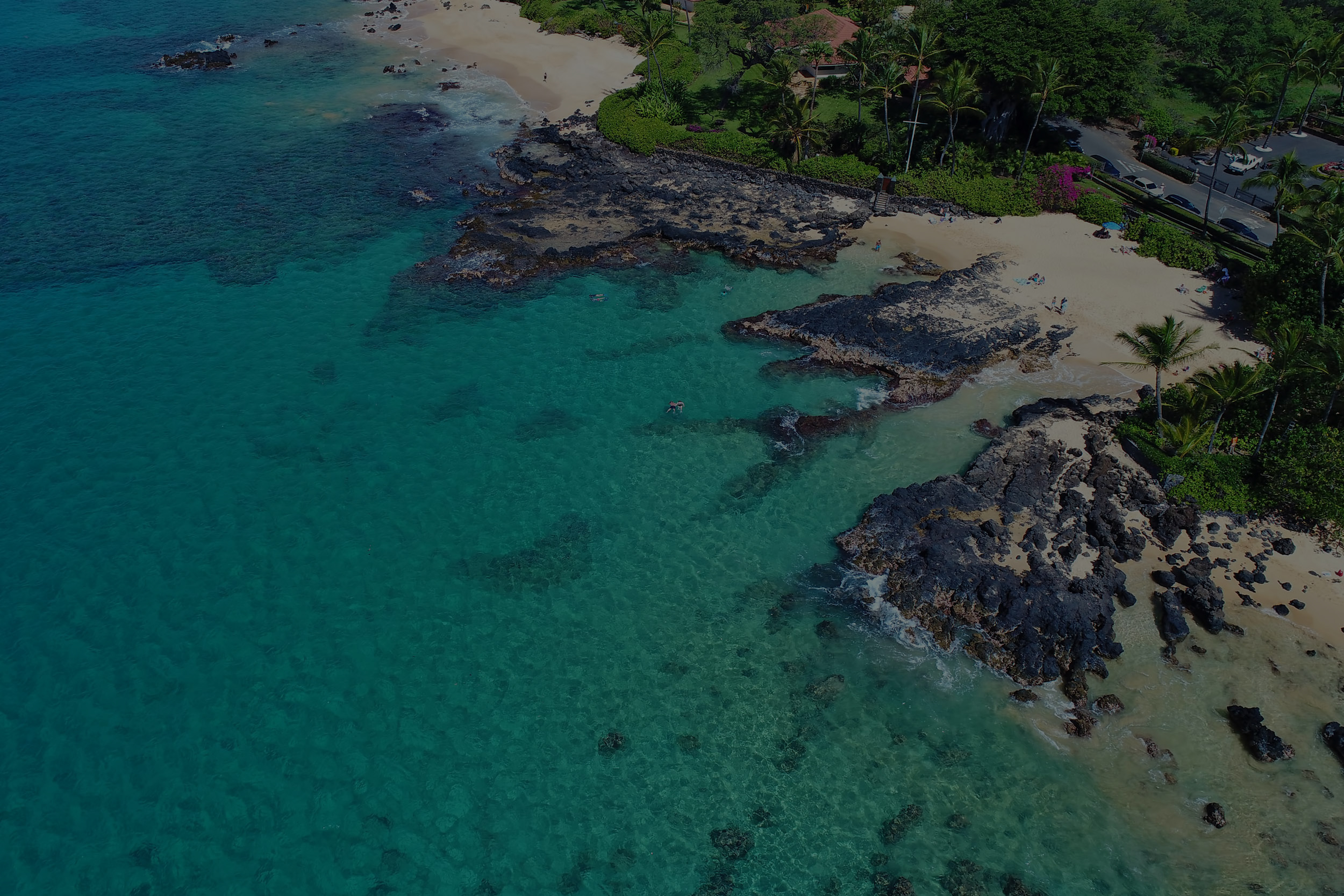 maui dental